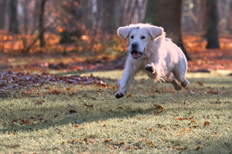 DSCF2842Piotr Wassermann 1